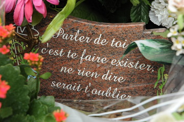 A CET EMPLACEMENT DOIT S AQFFICHER UNE IMAGE